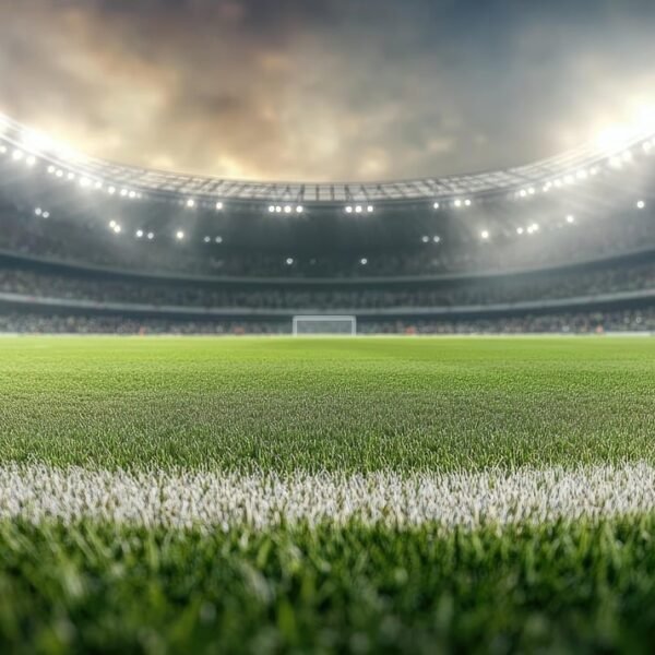 আদর্শ ফুটসাল (Futsal) ফুটবল মাঠ