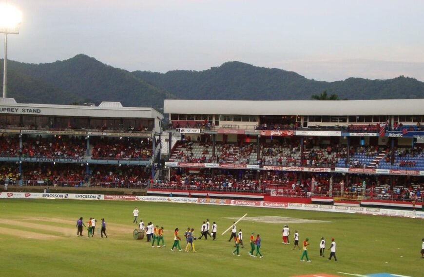 একটি আদর্শ ক্রিকেট মাঠ