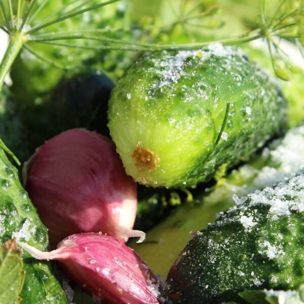 শসা দিয়ে রেসিপি