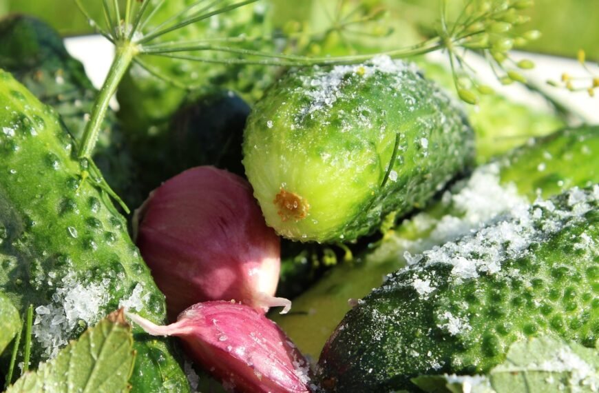 শসা দিয়ে রেসিপি